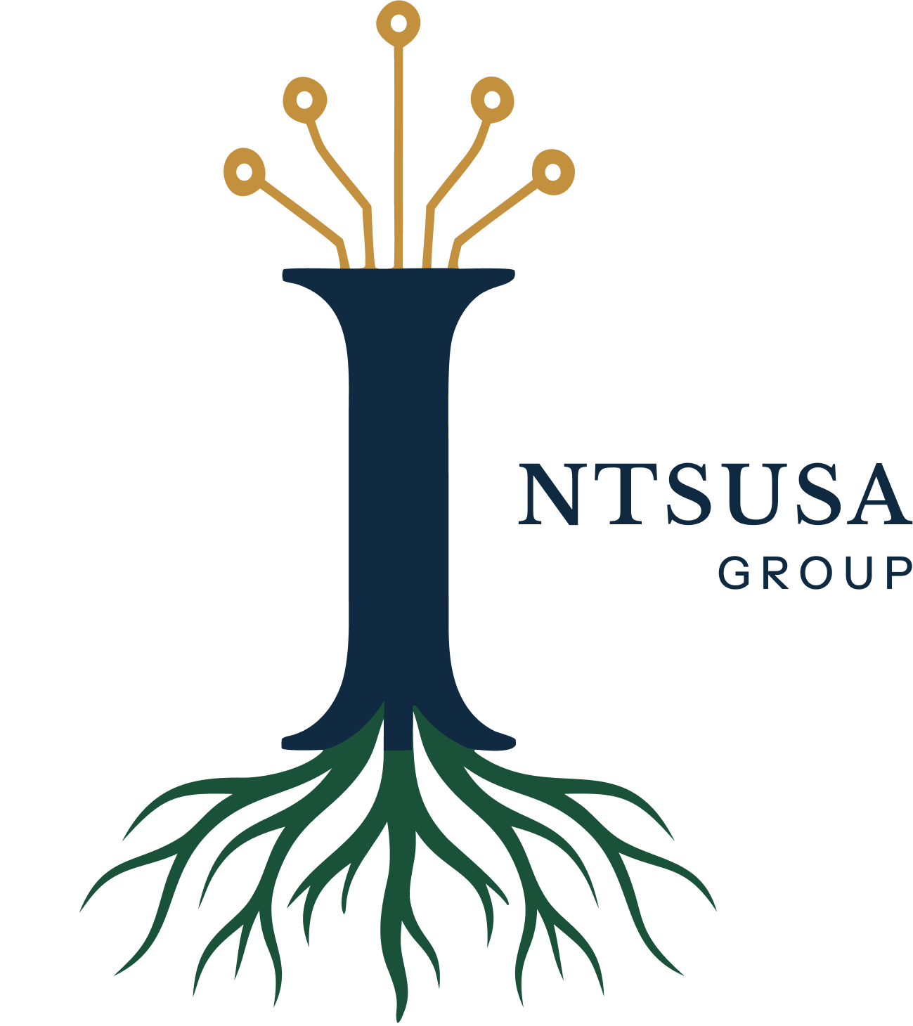 Intsusa Group
